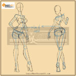 Female-Anatomy-blog-image-2-by-lalit-adhikari-at-Learn-That-Yourself