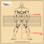 Male-Anatomy-blog-image-5-by-lalit-adhikari-Learn-That-Yourself