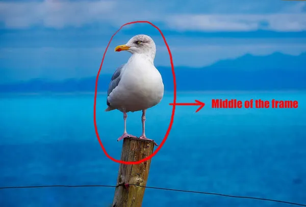 Rule Of Thirds 2 subject at middle