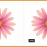 How-to-Create-Flowers-using-Mesh-Tool-in-illustrator-blog-image-25