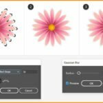 How-to-Create-Flowers-using-Mesh-Tool-in-illustrator-blog-image-33