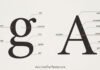 Type Anatomy: Learn the Language of Letterforms Type Anatomy: Learn the Language of Letterforms