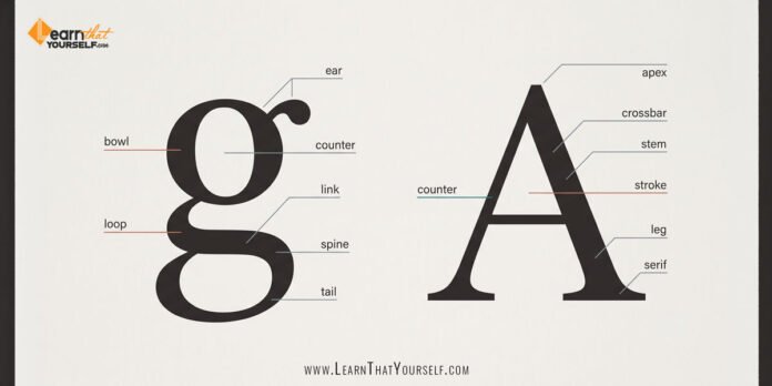 Type Anatomy: Learn the Language of Letterforms