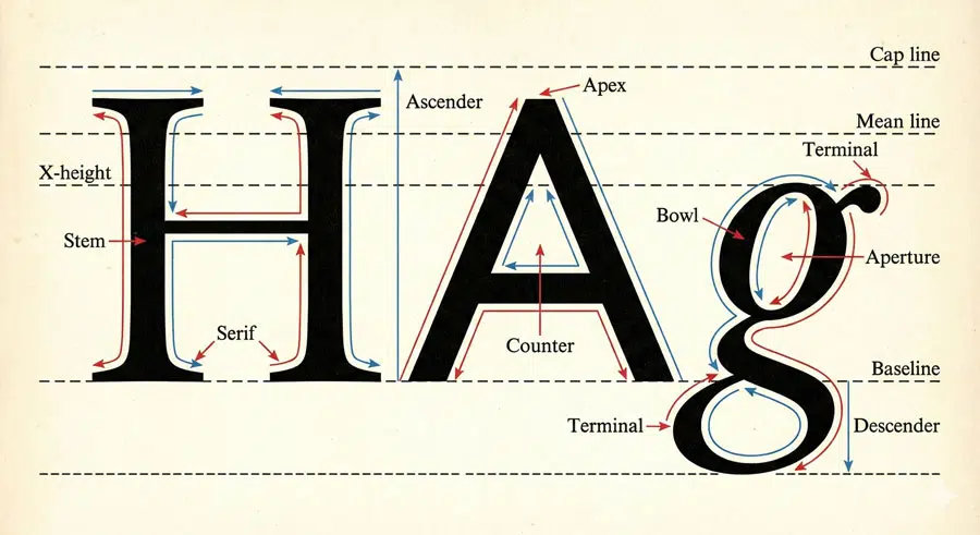 Essential Elements: Anatomy and Terminology of Type 2 The Parts of Type: A Complete Anatomical Guide