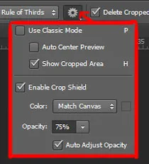 How to Crop in Photoshop 3 crop settings in photoshop