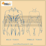 Female-Anatomy-Comic-Art-3-Learn-That-Yourself-LTY-Lalit-Adhikari