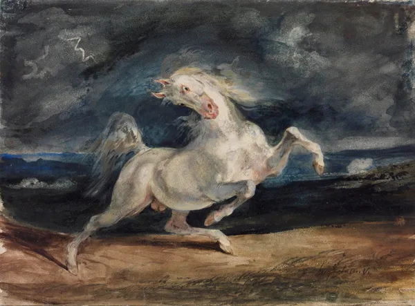 Basics of Design 2 horse frightened by a thunderstorm