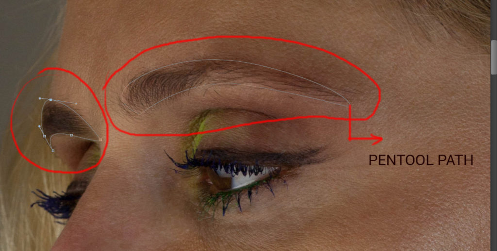 pen tool path for shaping eye brows in photoshop