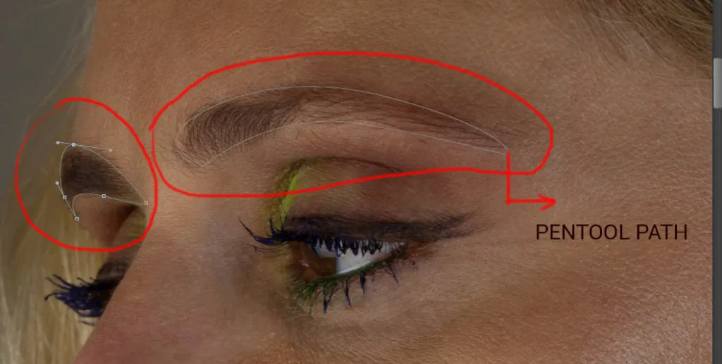 Retouching - How To Do It Professionally 3 pen tool path for shaping eye brows in photoshop