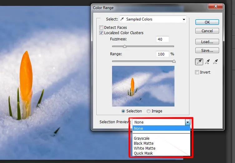 Select menu in photoshop 10 selection preview option in color range dialog box in photoshop