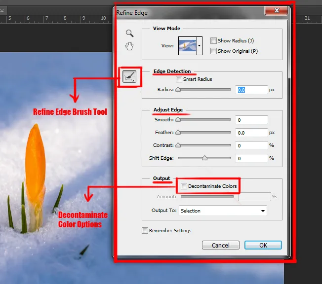 Select menu in photoshop 14 refine edge dialog box in photoshop