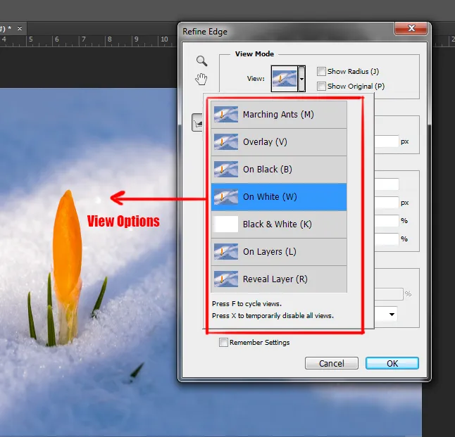 Select menu in photoshop 13 refine edge dialog box in photoshop