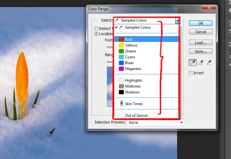 Select menu in photoshop 9 select option in color range dialog box in photoshop