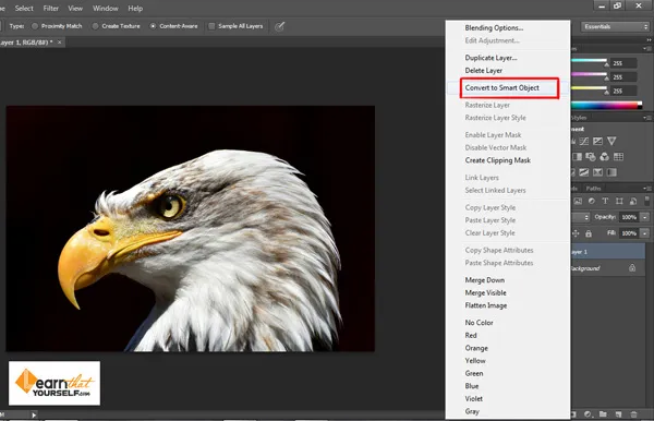 Filter menu in Photoshop 1 Convert to Smart Object