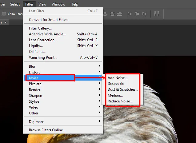 Filter menu in Photoshop 10 Noise options under filter menu in photoshop