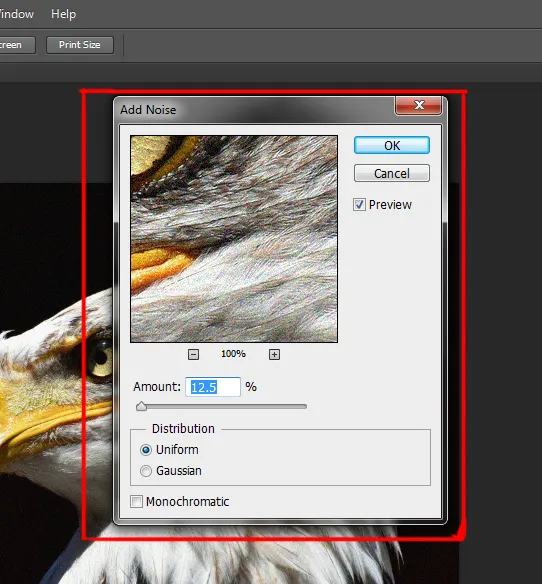 Filter menu in Photoshop 11 add noise dialog box in photoshop