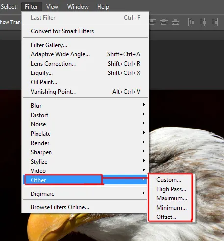 Filter menu in Photoshop 17 other options under filter menu in photoshop
