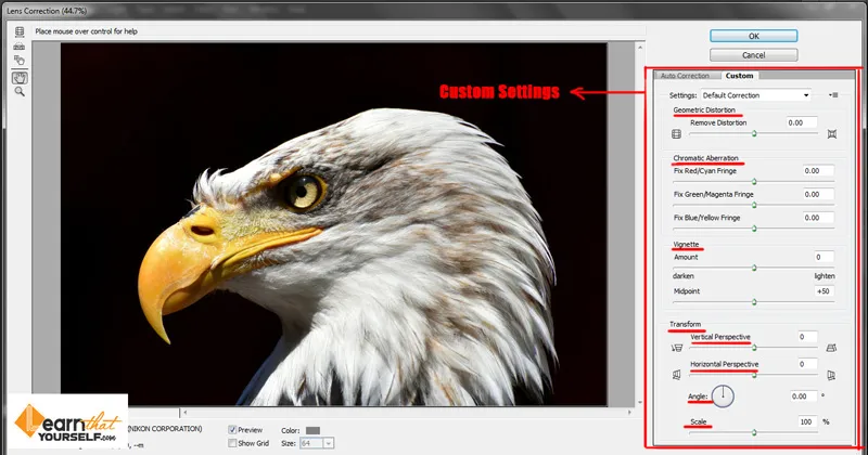 Filter menu in Photoshop 5 lens correction dialog box in photoshop