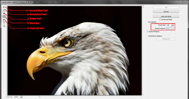 Filter menu in Photoshop 6 liquify dialog box in photoshop