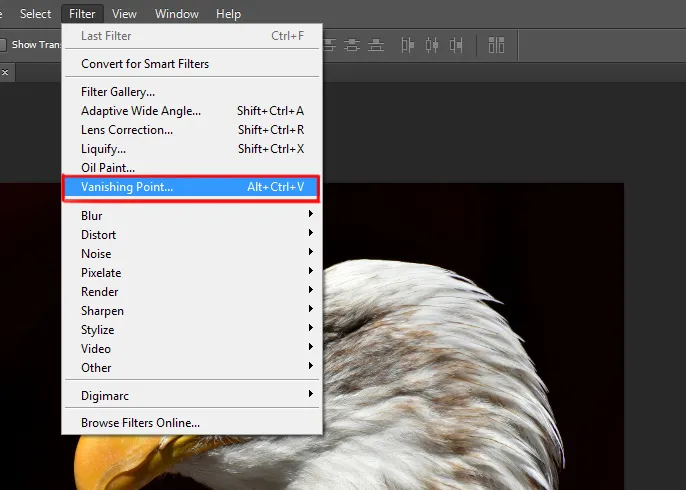 Filter menu in Photoshop 7 vanishing point... option under filter menu in photoshop