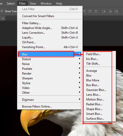 blur options under filter menu in photoshop