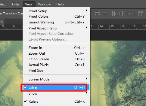 View menu in Photoshop 10 extras option under view menu in photoshop