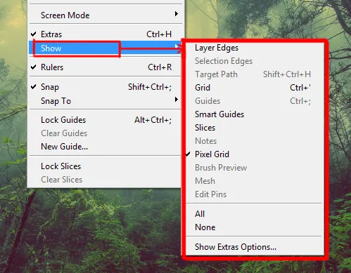 View menu in Photoshop 11 show options under view menu in photoshop