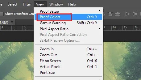 View menu in Photoshop 2 proof colors option under view menu in photoshop