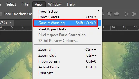 View menu in Photoshop 3 Gamut warning option under view menu in photoshop