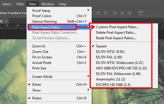 View menu in Photoshop 4 pixel aspect ratio option under view menu in photoshop
