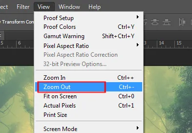 View menu in Photoshop 6 zoom out option under view menu in photoshop