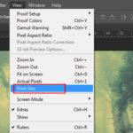 View-menu-in-Photoshop-8-Learn-That-Yourself-by-Lalit-Adhikari