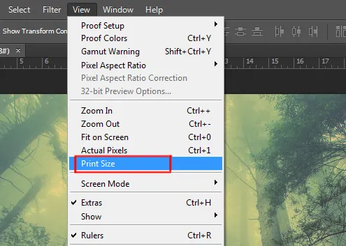 View menu in Photoshop 8 print size option under view menu in photoshop