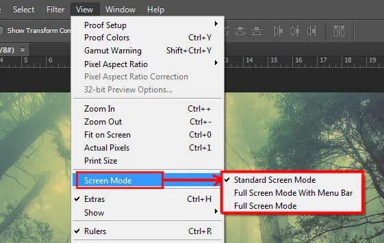 View menu in Photoshop 9 screen mode option under view menu in photoshop