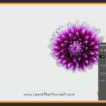 Feather-in-photoshop-blog-image-12-by-lalit-adhikari-at-learn-that-yourself-lty