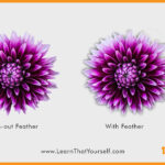 Feather-in-photoshop-blog-image-5-by-lalit-adhikari-at-learn-that-yourself-lty