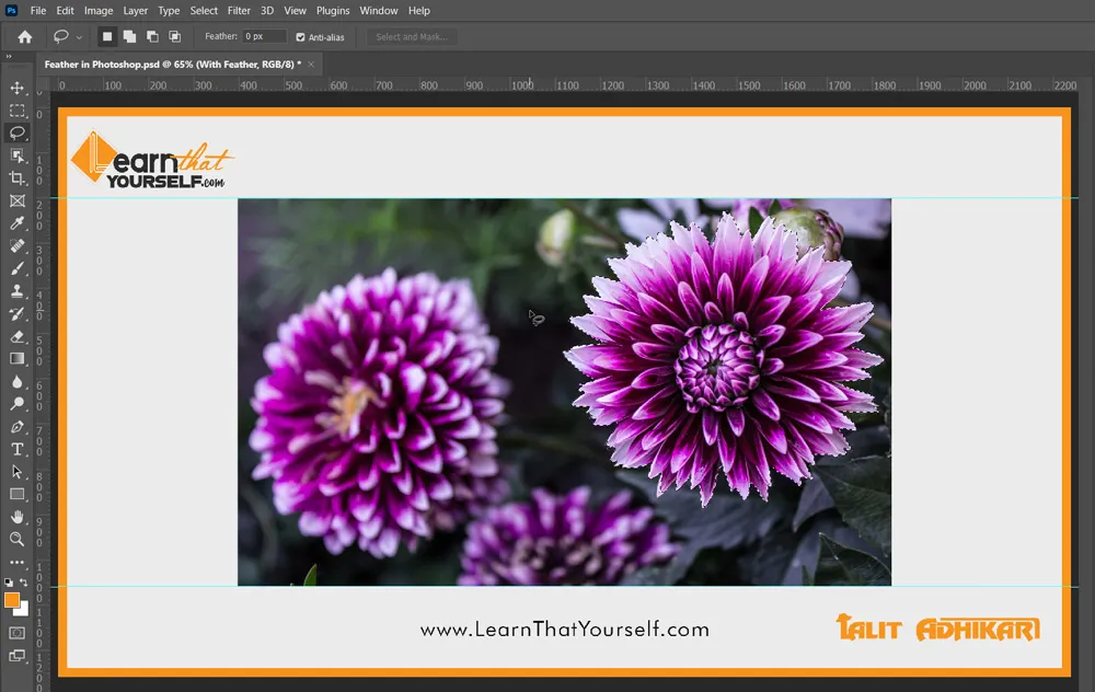 Feather in Photoshop 6 selection with feather value zero in photoshop