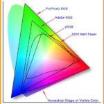 Color-Profile-in-Photoshop-blog-image-4-at-learn-that-yourself-by-lalit-adhikari