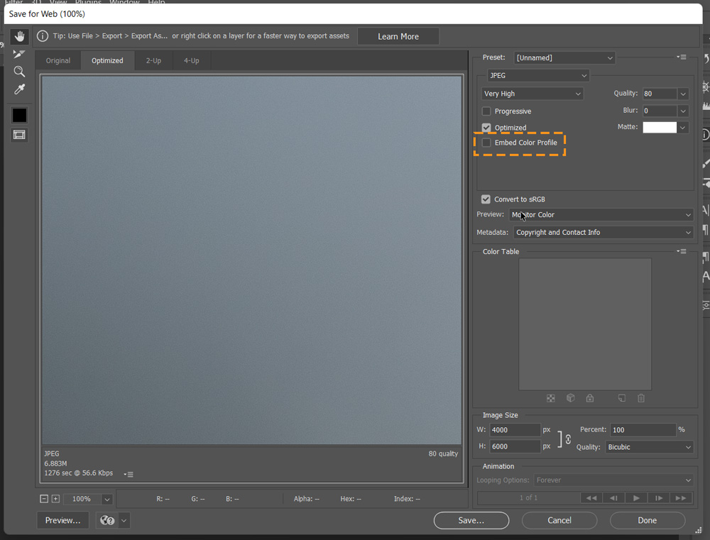 embed color profile marked in save for web dialog box in photoshop