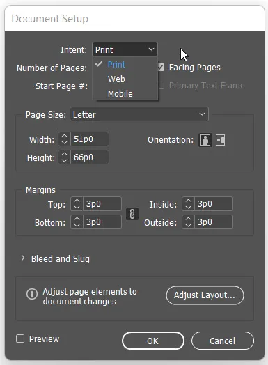 Color Mode 18 intent option in document setup dialog box in indesign