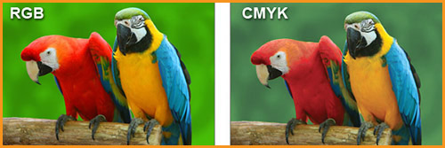 RGB & CMYK version of same image