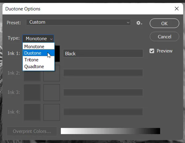 Color Mode 5 duotone options dialog box in photoshop