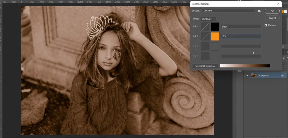 Color Mode 6 duotone options dialog box in photoshop