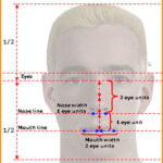 Anatomy-of-head-blog-image-6-at-learn-that-yourself-by-lalit-adhikari