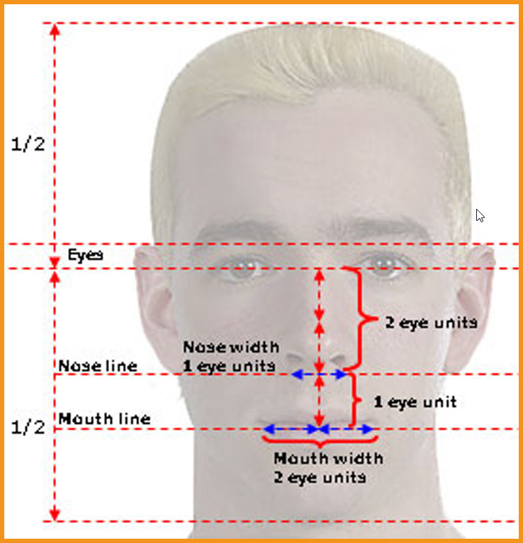 Anatomy of head blog image 6 at learn that yourself by lalit adhikari