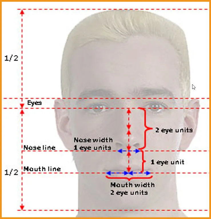 Anatomy of Head for drawing 8 Anatomy of head blog image 6 at learn that yourself by lalit adhikari
