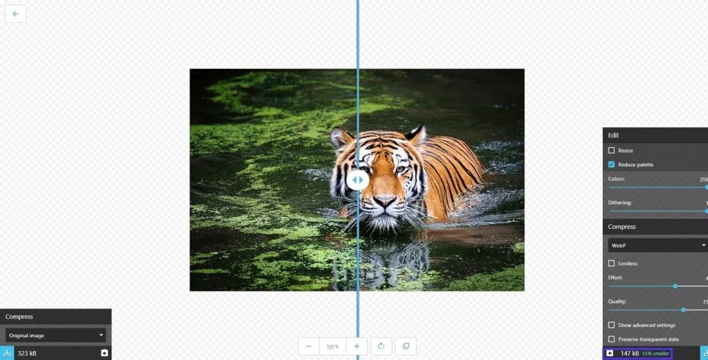 Types of Image File Formats 12 WebP image convertor screenshot