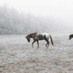 How-to-add-falling-snow-in-photoshop-blog-image-12
