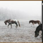 How-to-add-falling-snow-in-photoshop-blog-image-13