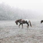 How-to-add-falling-snow-in-photoshop-blog-image-14